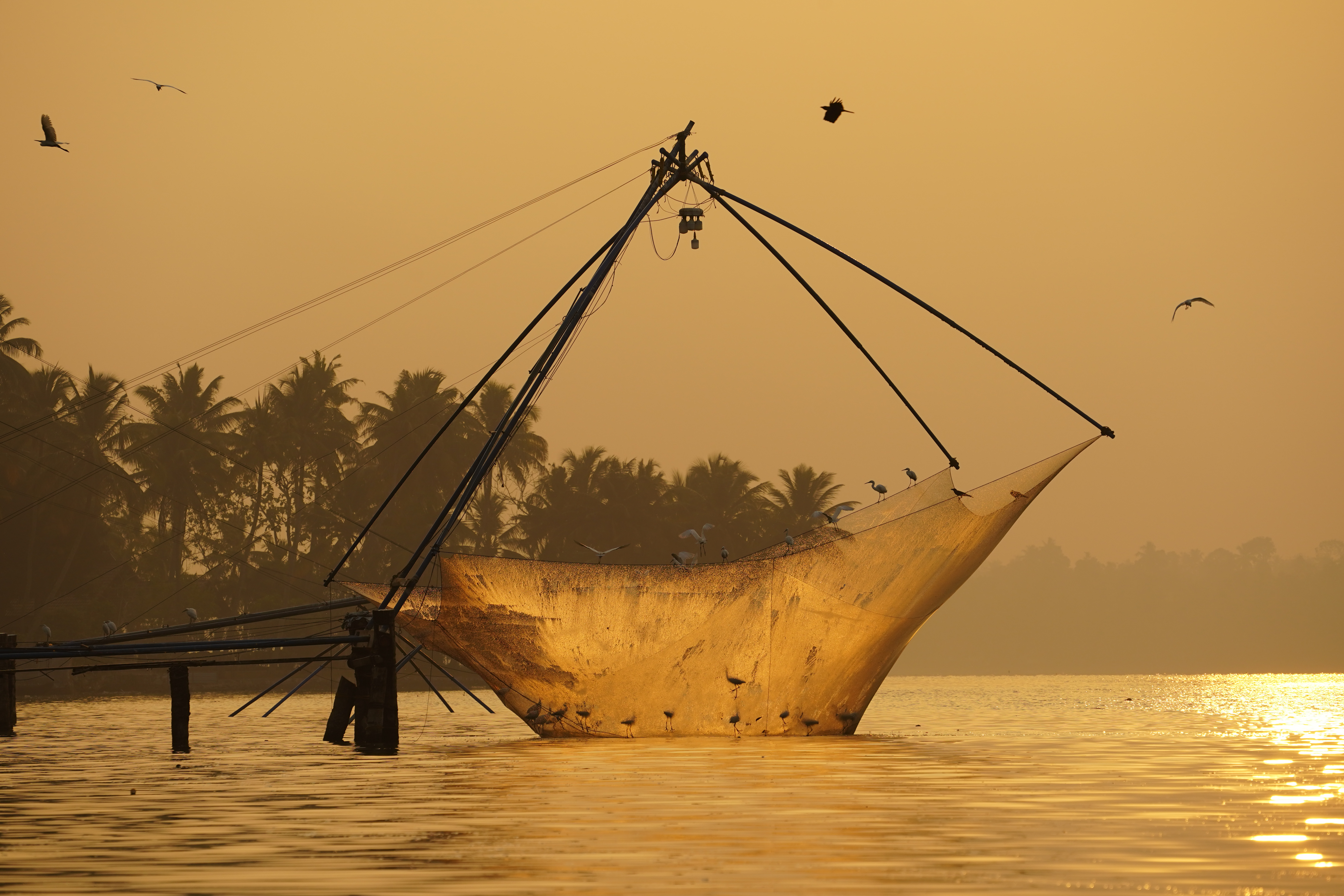 Fort Kochi & Chinese Fishing Nets